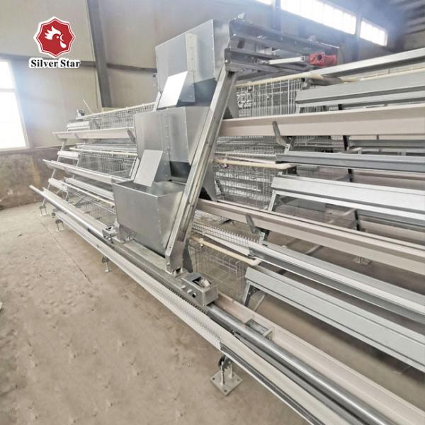 Cor Prateada Tipo A Bateria Camada Caixa de Frango Boa ventilação