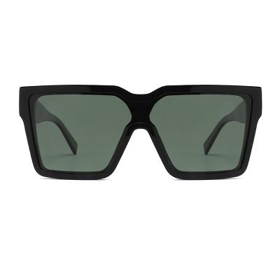 Os óculos de sol quadrados grandes do acetato obstruem UV, óculos de sol retangulares do quadro de 145mm