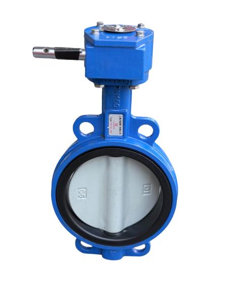 Ductile Iron Soft Seal Elastic Valve Seat Centerline Wafer Butterfly Valve Stainless Steel Valve Plate