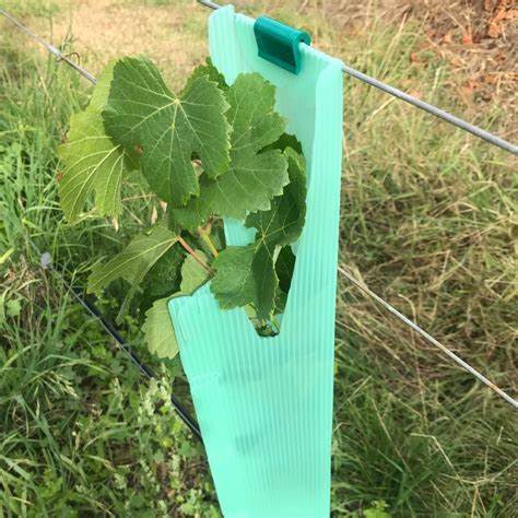 PP Tree Guard is lightweight, durable, waterproof, and easy to install. It protects young trees from wind, animals, and damage, with customizable sizes, colors, thicknesses, and designs.