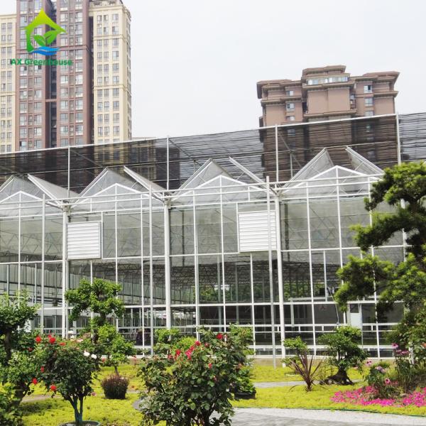 Снегоустойчивый роскошный многопролетный сельскохозяйственный стеклянный теплица для выращивания овощей