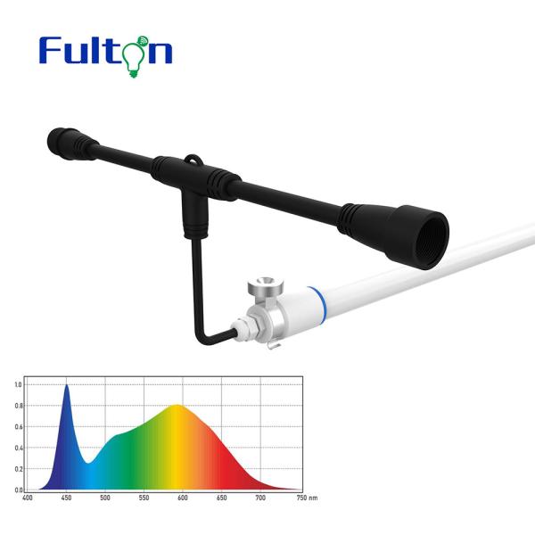 Hydroponics LED Vegetable Grow Lights Lettuce Grow For Indoor Gardening