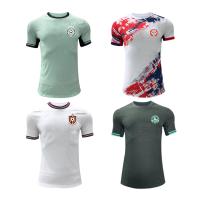 2024  European Championship Jerseys White / Black / Light Green Color