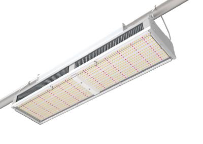 Outdoor Greenhouse 330W IP65 Greenhouse LED Grow Lights