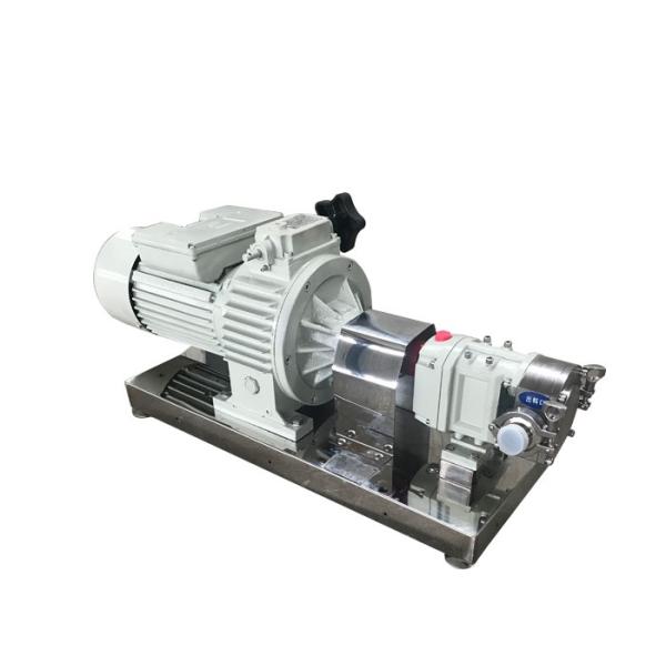 Stainless Steel 304 Sanitary Lobe Pump , Honey Transfer Pump Adjustable Speed