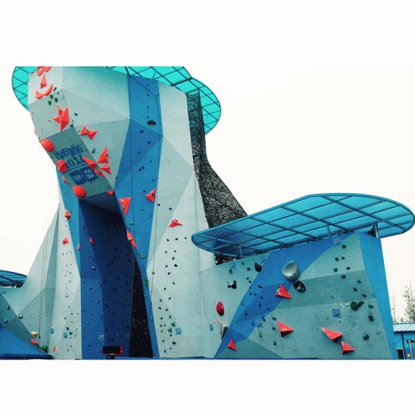 Max Capacity 100-500kg Bouldering Rock Climbing Walls Durable and Versatile for Adults