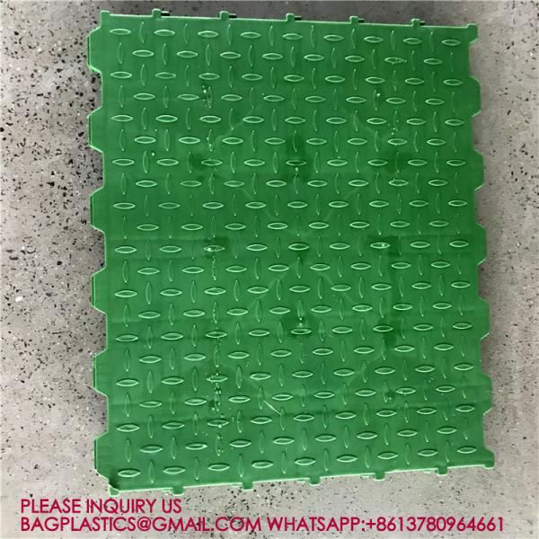 600*600mm Plastic Slats Blind Floor For Pig Farrowing Crate Equipment automatic pig injection
