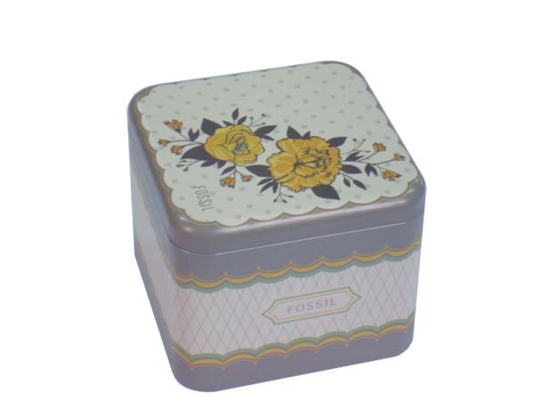 Quadrado relativo à promoção fóssil das latas de lata com papel da brochura para dentro