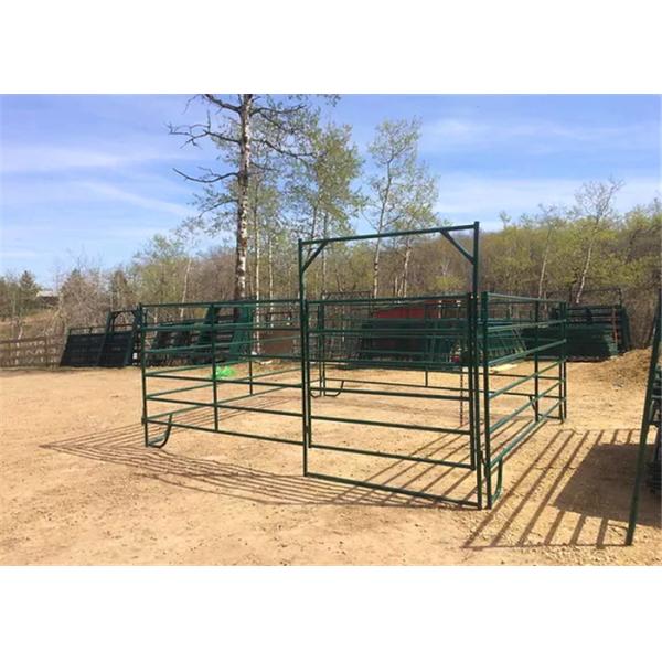 Green Coated Lightweight Horse Corral Panels 5