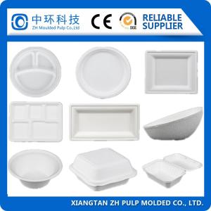 Machine de moulage de pâte de bagasse certifiée CE de 30 kW