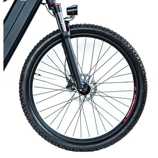 Powerful 1000W 48V Central Mid Drive Motor Electric Mountain Bike for Adult Men 29 Inch