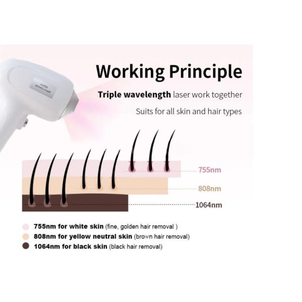 УПРАВЛЕНИЕ ПО САНИТАРНОМУ НАДЗОРУ ЗА КАЧЕСТВОМ ПИЩЕВЫХ ПРОДУКТОВ И МЕДИКАМЕНТОВ 1800W одобрило машину 2in1 Pico удаления волос лазера 808 диодов