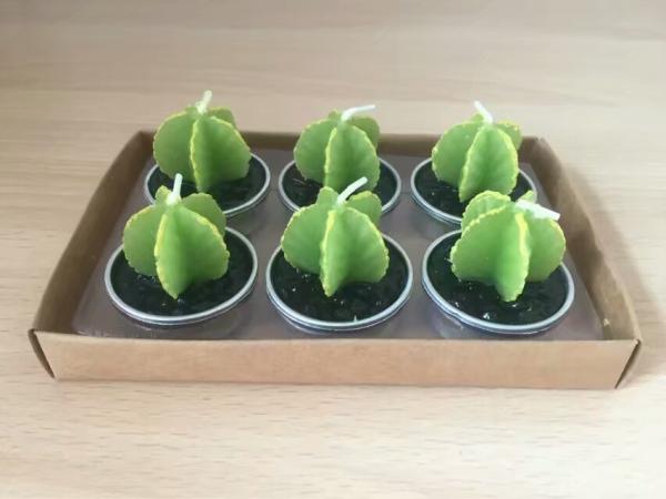 Decor green bonsai plants unscented candle with metal cup and the package of  paper tray and PVC box