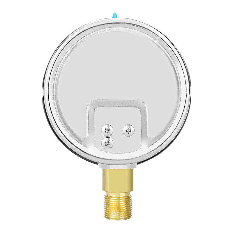 Customizable 304ss Stainless Steel Case Hydraulic Capsule Micro Pressure Gauge YE100