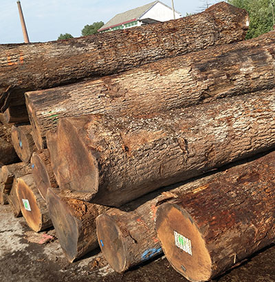 Lonson Veneer Co.,Ltd