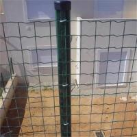 OEM en plastique revêtu galvanisé Euro Wire Mesh Fence 10m 25m 30m Longueur