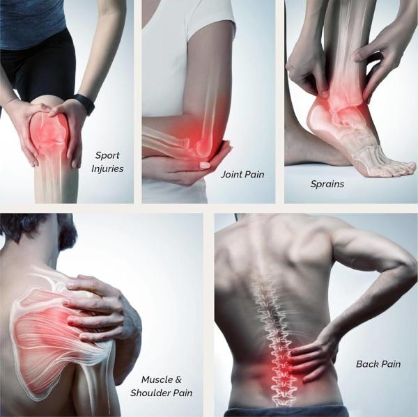 Regeneration And Rehabilitation Of Musculoskeletal Disorders PEMF Magnetic Therapy Device for Knee Health and Recovery