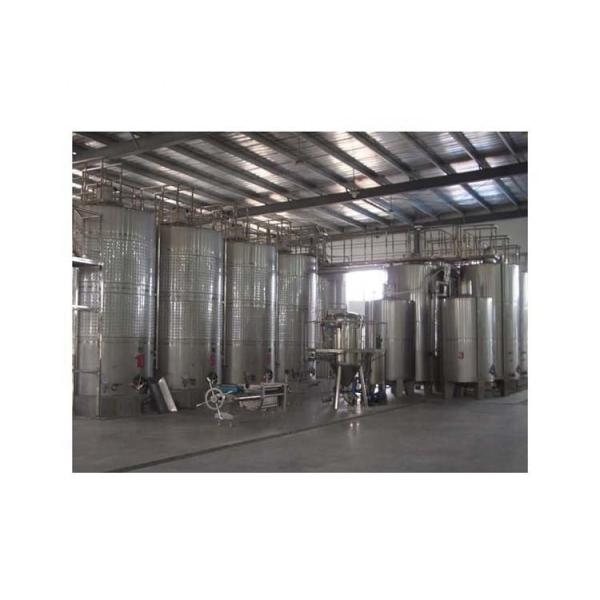 100% Filling Accuracy Juice Filling Machine for Fresh Juice Processing Plant Packaging