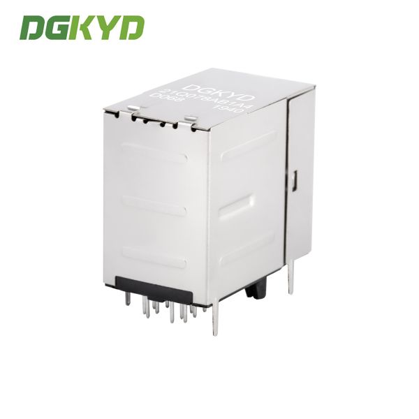 2x1 Dual Port RJ45 Connector 1000BASE-T Gigabit Ethernet with Filter