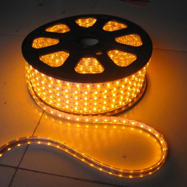 High Class SMD 5050 Single/RGB 220V/120V LED Strip Light High Bright Adversiting Decoration Lighting grow
