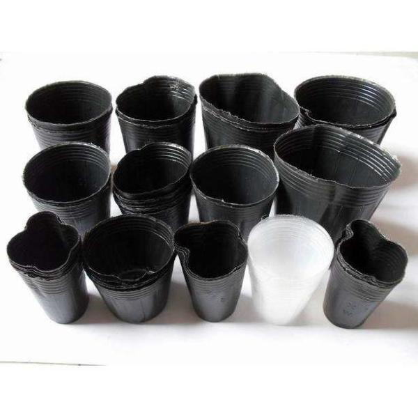 Cultivo da plântula potenciômetro Thermoformed do berçário de 4 polegadas borda aumentada 7 galões