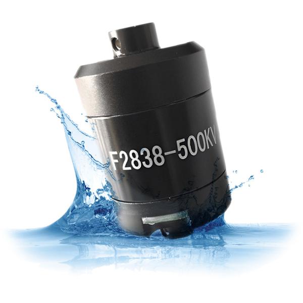 Faradyi High Quality 2838 Series IP68  DC Brushless Motor Waterproof Motor With Epoxy Coating