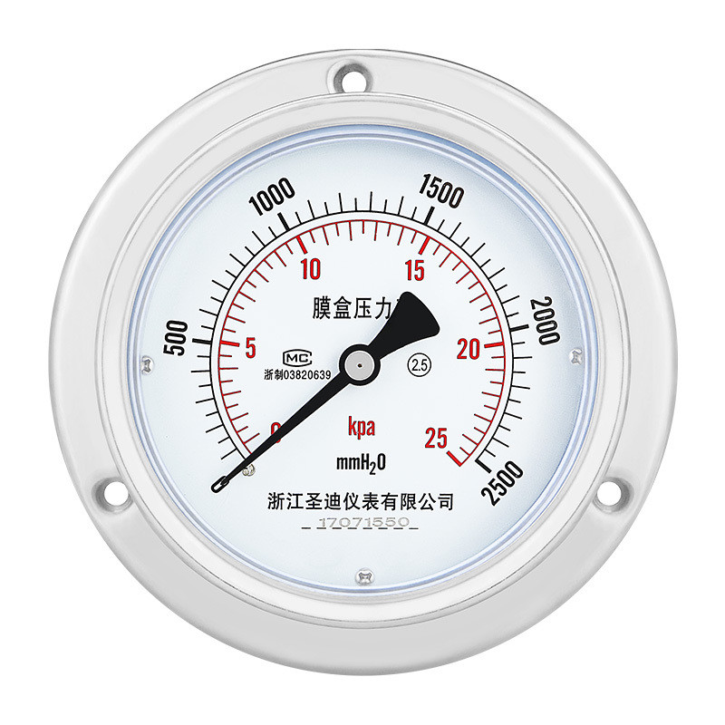 100mm Diaphragm Type 304ss Stainless Steel Back Capsule Pressure Gauge with Flange