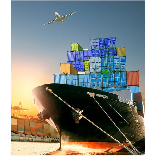 Disposable dingyin gloves food thickened rubber latex wear-resistant washing dishes household food check nitrile gloves