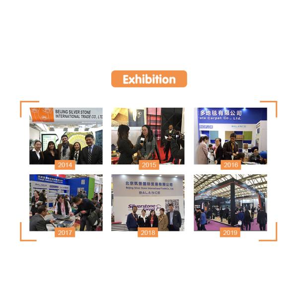 Fireproof Banquet Room Hotel Carpet with Medium Pile Height and 3D Printed Design