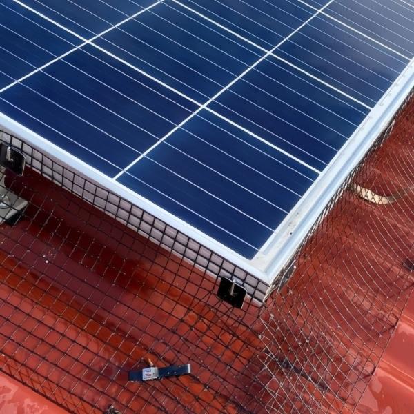 Grille de protection anti-oiseaux pour panneaux solaires 10 pouces x 100 pieds, filet de protection anti-oiseaux pour panneaux solaires