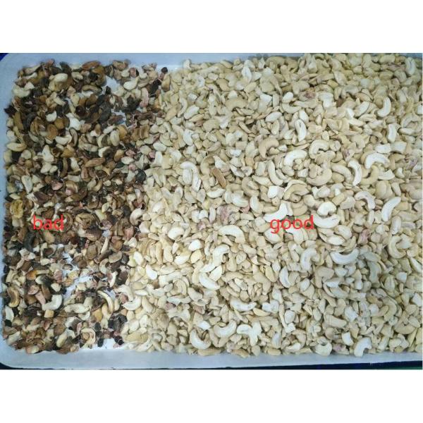 Máquina de clasificación de colores de nueces de anacardos automática y inteligente