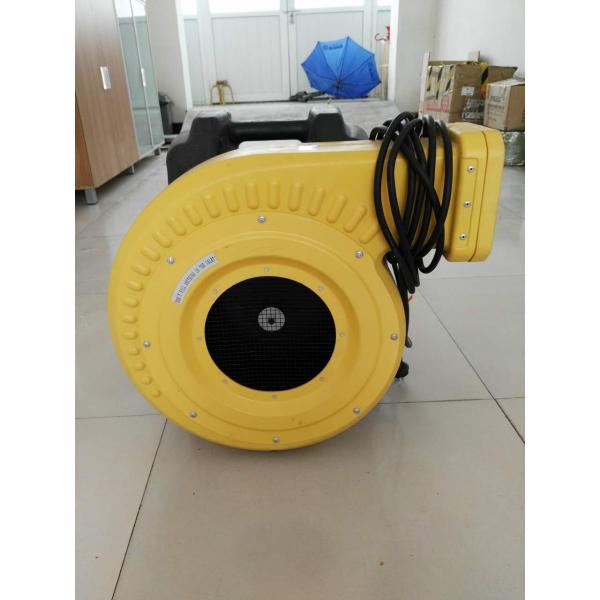 PVC giant advertising balloons