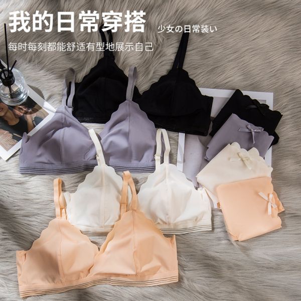 New Arrival Female Seamless Panties With Bra Pants and Bra Wholesale Comfortable Fashion Womens Panties and Bras Seamless
