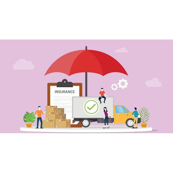 Customs Clearance Cargo Insurance Service For Goods Transportation