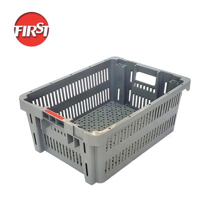 Caixas de plástico resistentes de PP com ventilação empilhável Cestas de colheita