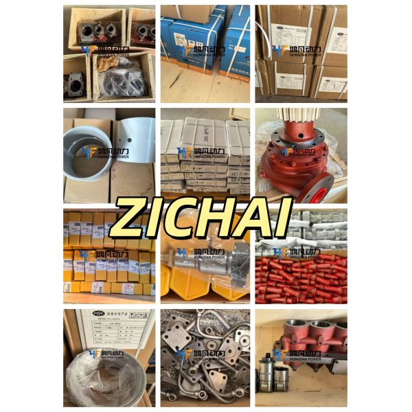 Pneumatic motor Motor assembly TMY9QDB for Zichai 12V170ZLD-3