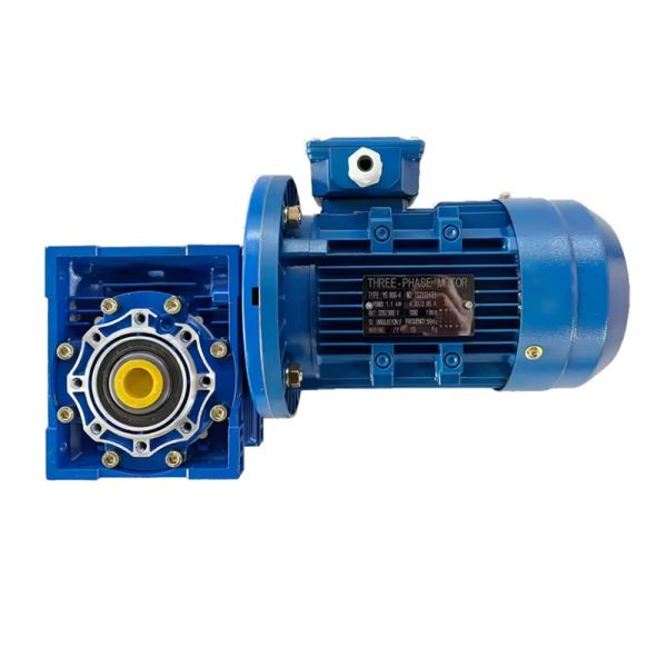 Custom 1.1 kW Single-Stage Reduction RV Series Worm Gearbox Motor Reducer with Helical Gears for Industrial Machinery