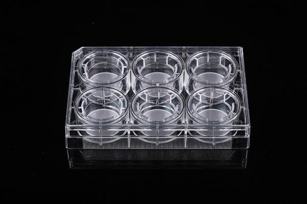 Cell Insert Multiple Well Plate 24mm PCR Laboratory