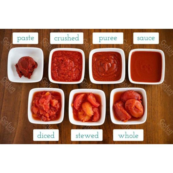 Industrial Tomato Paste Production Line |40-1500T/Day Turnkey Machinery with Aseptic Filling