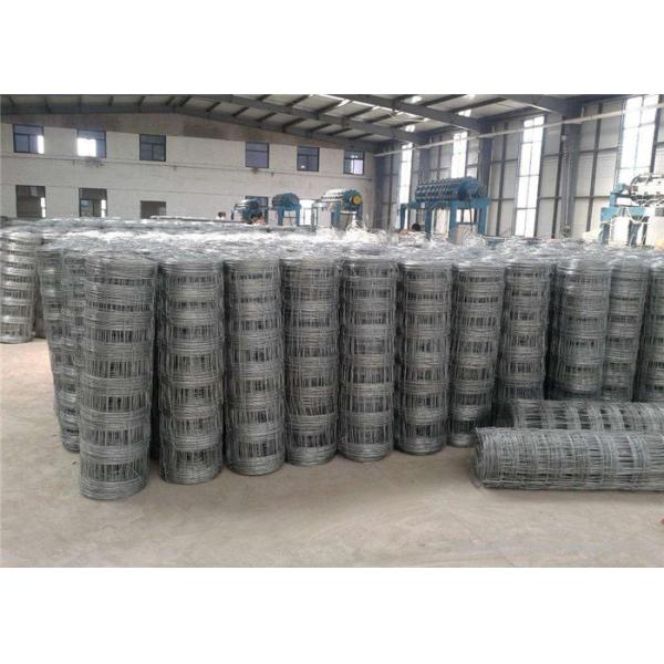 cattle/cow fence wire mesh/hot-dipped galvanized filed fence wire mesh/ deer farm fence mesh from really factory