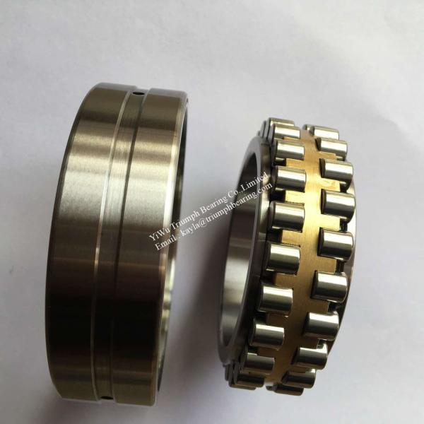 NSK Double-Row Cylindrical Roller Bearing  NN3012TKRCC1P4
