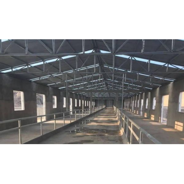 ISO1461 Steel Structure Poultry House 50 - 100mm Panel Steel Cattle Buildings