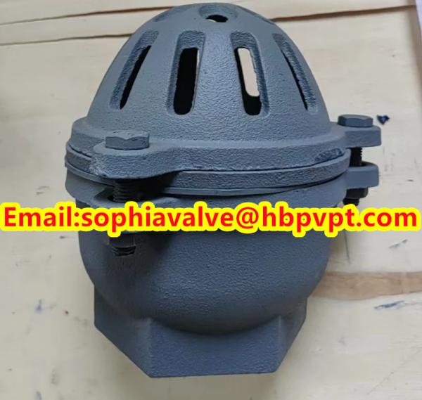 BRITISH STANDARD BS21 cast iron threaded foot valve contact Sophie