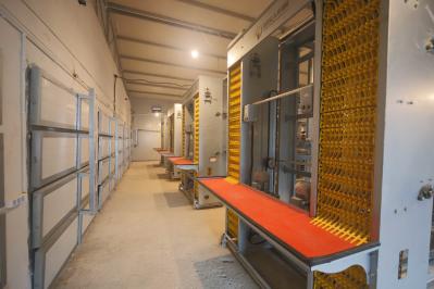 Hot Dipped Galvanzied 3 Tier Animal Cage , Parent Breeder Mesh Pallet Cages