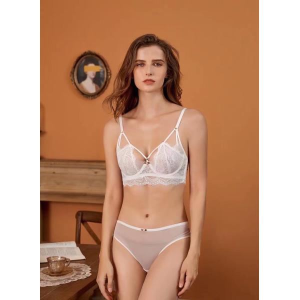 Сексуальные дамы соответствуя наборам нижнего белья шнуруют стальной бюстгальтер кольца собранный полостью