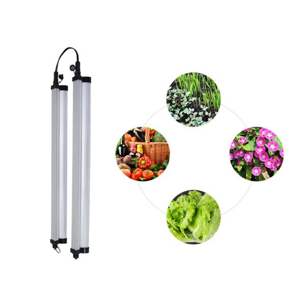 120lm/W 48W 5891lumen Waterproof Led Grow Light For Indoor Garden