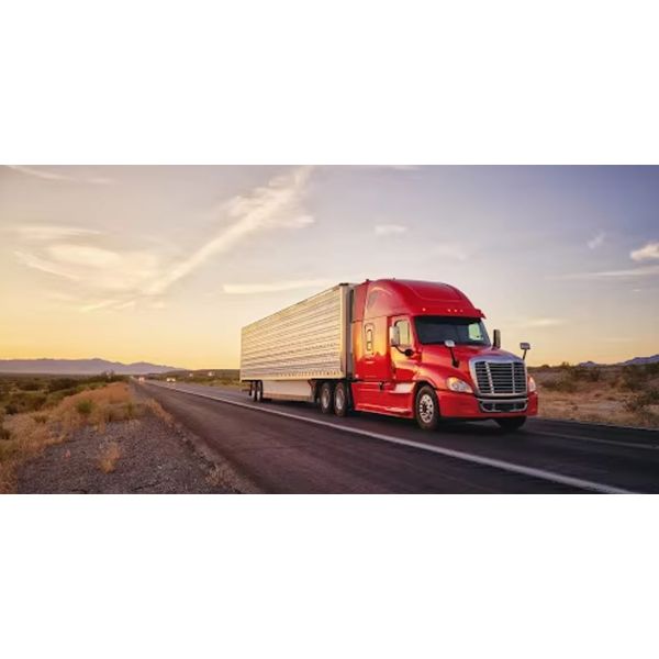 FMC Licensed Freight Forwarder with Global Network Offering Door to Door Logistics Service