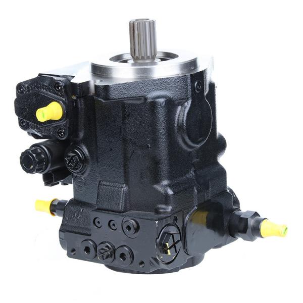 Hydraulic Pump Motor for A10vg45 Apply to Vogele Pavers Spare Parts