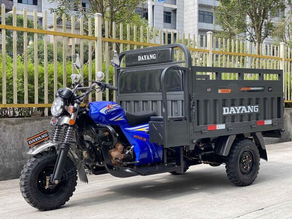 Cargo Supply Motorized Tricycles Van Standard Size Three Wheel Petrol Motorcycles