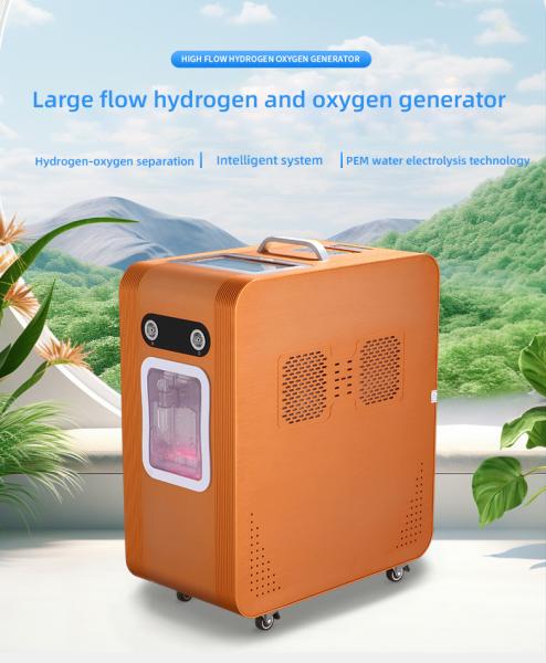AC220V Inhalateur d'oxygène à l'hydrogène Machine d'inhalation d'hydrogène 3000 ml/M
